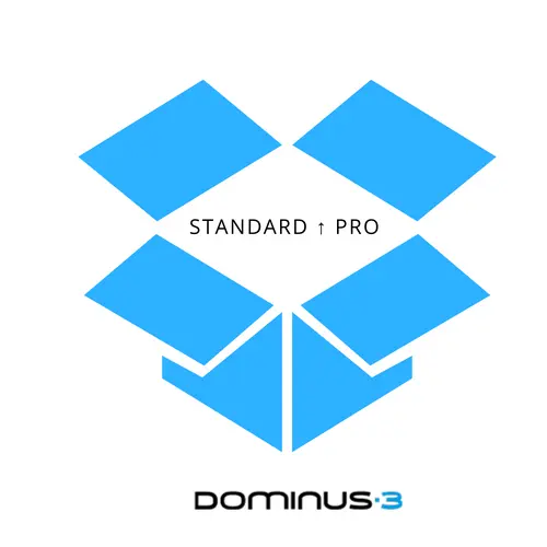 Upgrade D3 STANDARD - PRO