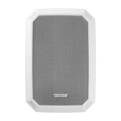 Nástěnný IP SPA-W100W