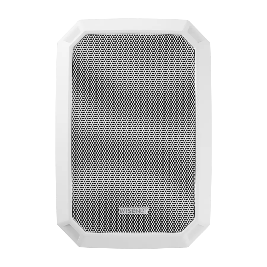 Nástěnný IP SPA-W100W